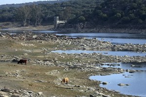 seca guadiana 