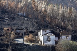 Provedora rejeita ambiente de fraude nas indemnizações às vítimas dos fogos de 2017