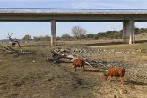seca guadiana 