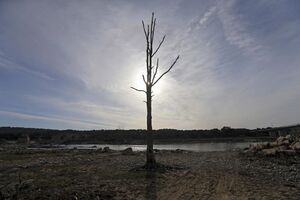 seca guadiana 