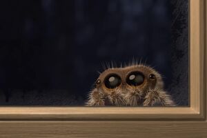 Lucas the Spider - Its Cold Outside.mp4