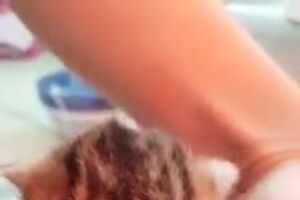 26009308_1537945759620350_5803338326928785408_n.mp4