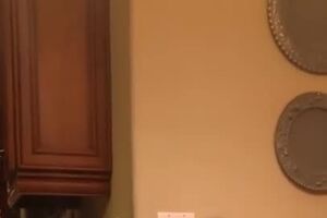 Italian grandmother learning to use Google home.mp4