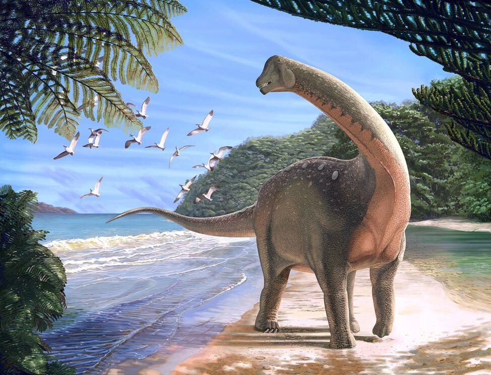 Novo dinossauro