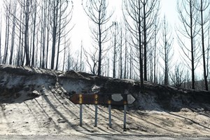 Campanha solidária abrange 400 habitações ardidas em Outubro de 2017
