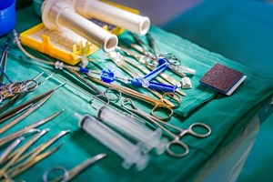 Rim de porco funciona em humano mais de um mês depois de transplante