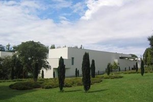 Administradores nomeados pelo Estado em Serralves apoiaram decisões sobre 'precários'