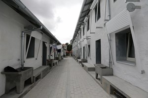 CDU/Porto pede 'urgência' salvar 'ilhas' que albergam 10 mil pessoas