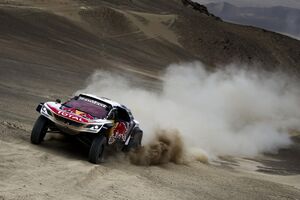 Loeb