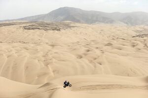  Adrien van Beveren