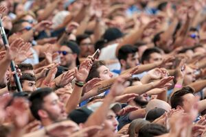 adeptos FC Porto