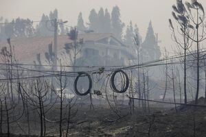 incêndios lousã