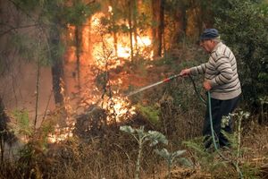incêndios lousã