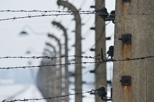 Auschwitz
