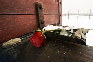 Auschwitz