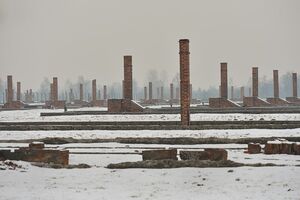 Auschwitz