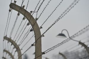 Auschwitz