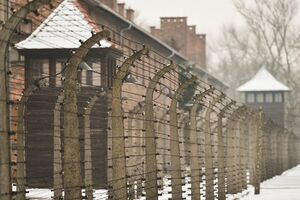Auschwitz