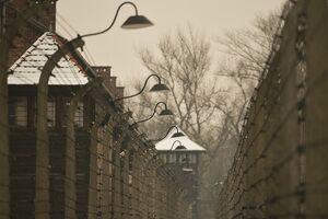 Auschwitz