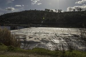 Tejo poluído 