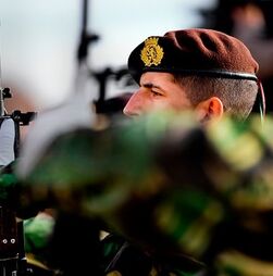 Exército já empenhou mais de 3.700 militares no combate aos incêndios