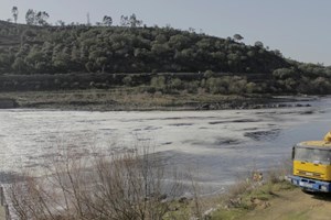 poluição Tejo 