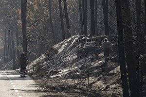 Guardas florestais realizam hoje greve de 24 horas
