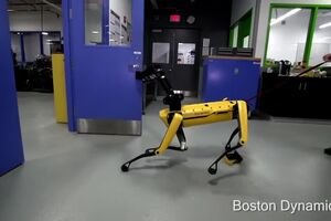 Testing Robustness.mp4