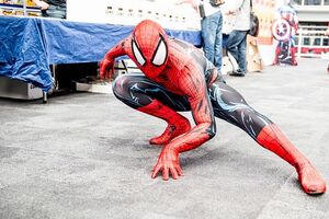 Homem Aranha 