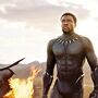 Black Panther: Hollywood soltou a pantera