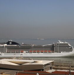 OMS confirma segundo caso de hantavírus no navio e há outros cinco casos suspeitos