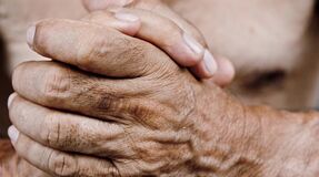 Autoridades encerraram 56 lares ilegais este ano