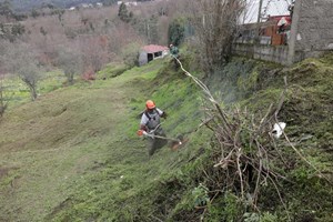 Governo prevê prolongar prazo para limpeza de terrenos pelos proprietários até 15 de maio