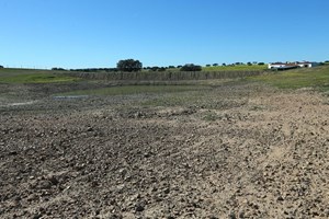 Secas e ondas de calor triplicaram na Europa, investigadores analisam impacto na agricultura