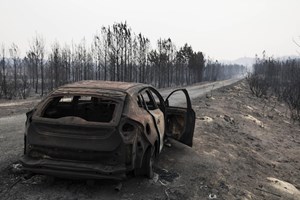 Municípios afetados pelos incêndios de 2017 receberam 33,7 milhões da UE
