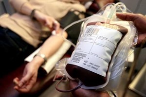 PAN questiona Governo se homossexuais estão a ser discriminados quando vão dar sangue