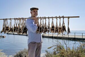 Peixe em Lisboa