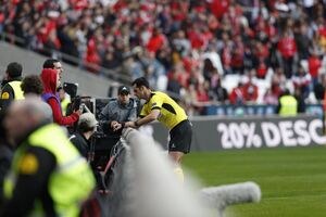 Benfica Guimarães 