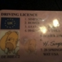 Condutor mostrou à polícia carta de condução de Homer Simpson