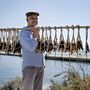 A próxima edição do Peixe em Lisboa em cinco filetes   