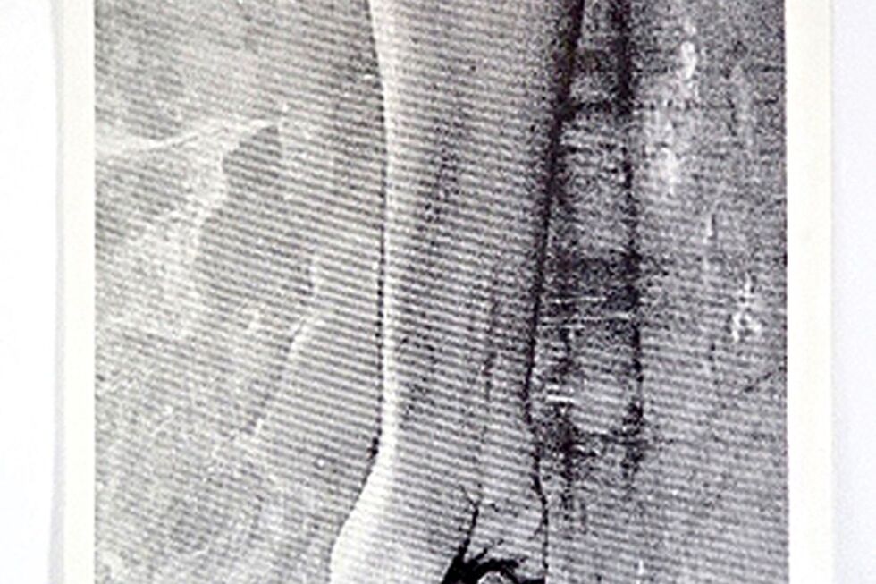 problemas a dobrar na galeria diferença