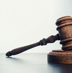 Tribunal de Beja marca para dia 15 leitura de acórdão sobre exploração de imigrantes