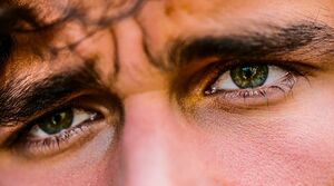 Dez sinais de que está apaixonado por um sociopata 