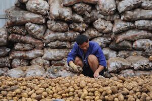 china batatas