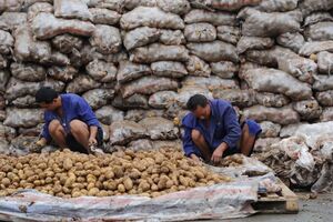 china batatas