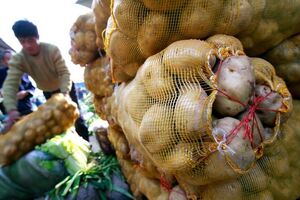 china batatas