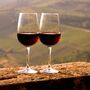 Dia mundial do turismo celebrado com vinho