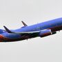 Novo incidente com a Southwest Airlines. Desta vez, a culpa foi de um pássaro 