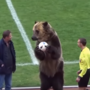 Actuação 'desumana' de urso em jogo de futebol gera indignação