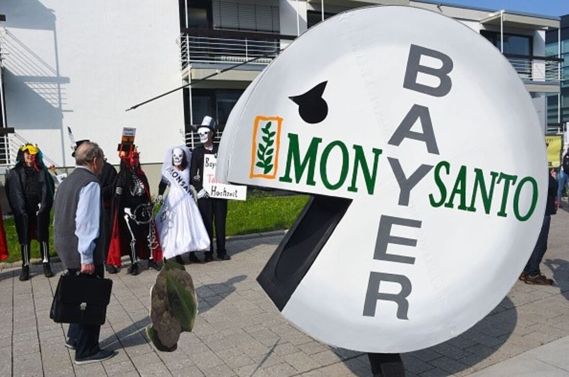 Bayer Monsanto 
